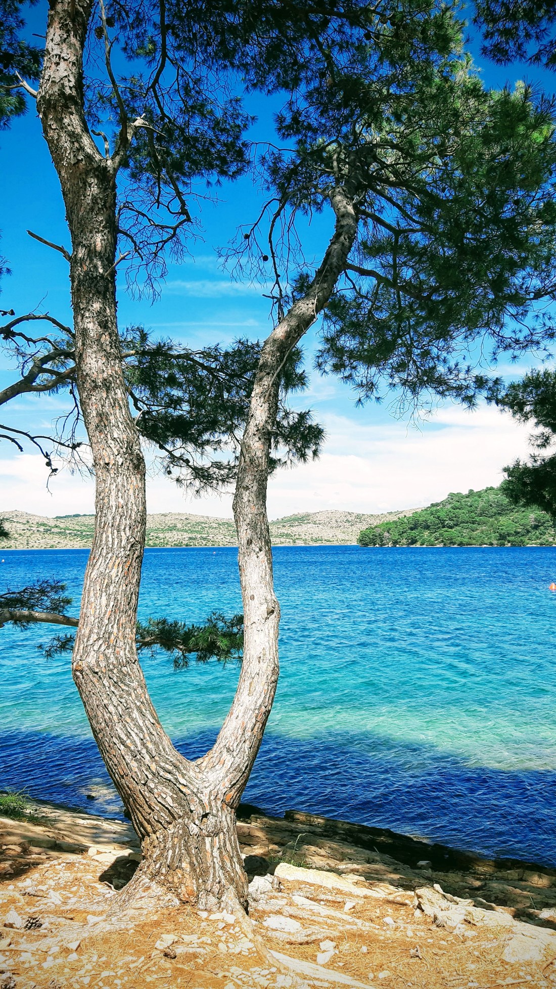 20190618_141621-effects