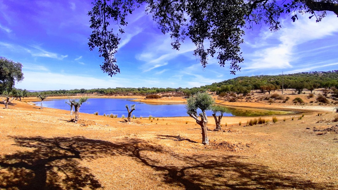 20191007_132620-effects